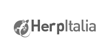 Herp Italia - Accessori per animali esotici - Verona (VR)
